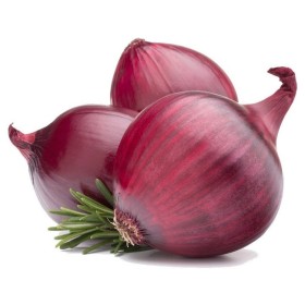 CIPOLLA TIPO TROPEA FRESCA